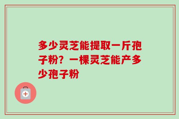 多少灵芝能提取一斤孢子粉?一棵灵芝能产多少孢子粉 多少灵芝能提取一斤孢子粉?一棵灵芝能产多少孢子粉