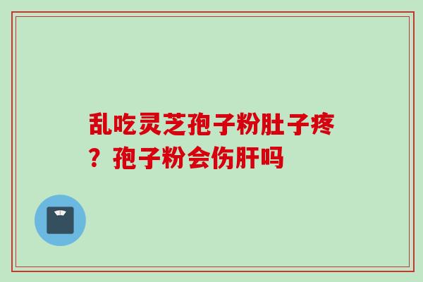 乱吃灵芝孢子粉肚子疼？孢子粉会伤肝吗