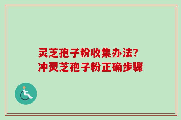 灵芝孢子粉收集办法？冲灵芝孢子粉正确步骤