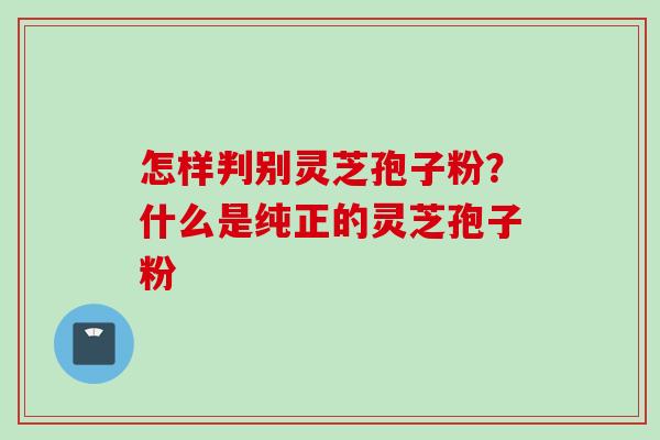 怎样判别灵芝孢子粉？什么是纯正的灵芝孢子粉
