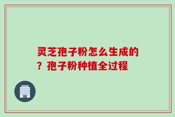 灵芝孢子粉怎么生成的？孢子粉种植全过程