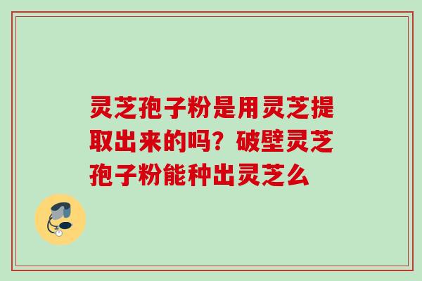 灵芝孢子粉是用灵芝提取出来的吗？破壁灵芝孢子粉能种出灵芝么
