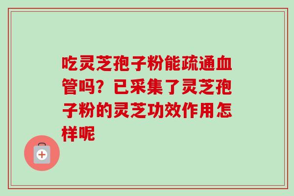 吃灵芝孢子粉能疏通血管吗？已采集了灵芝孢子粉的灵芝功效作用怎样呢