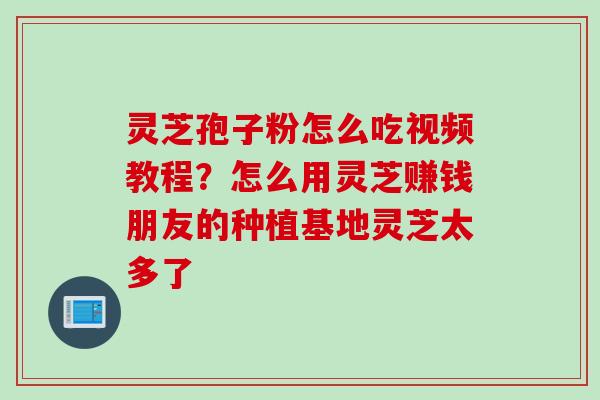 灵芝孢子粉怎么吃视频教程？怎么用灵芝赚钱朋友的种植基地灵芝太多了