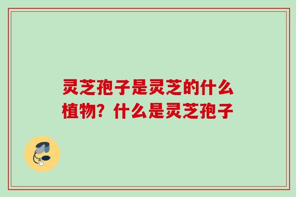 灵芝孢子是灵芝的什么植物？什么是灵芝孢子