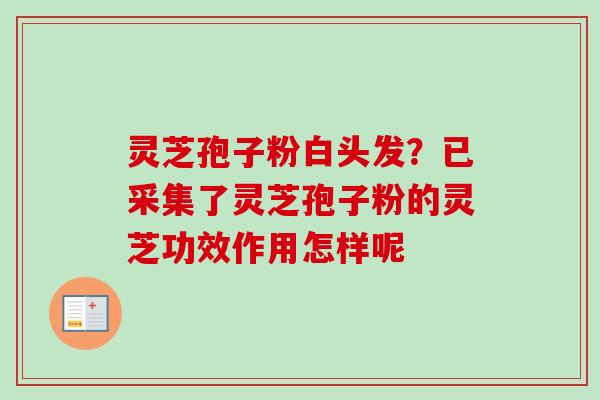 灵芝孢子粉白头发？已采集了灵芝孢子粉的灵芝功效作用怎样呢