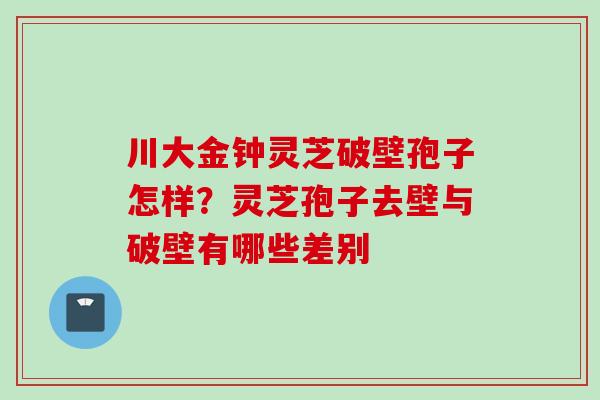 川大金钟灵芝破壁孢子怎样？灵芝孢子去壁与破壁有哪些差别