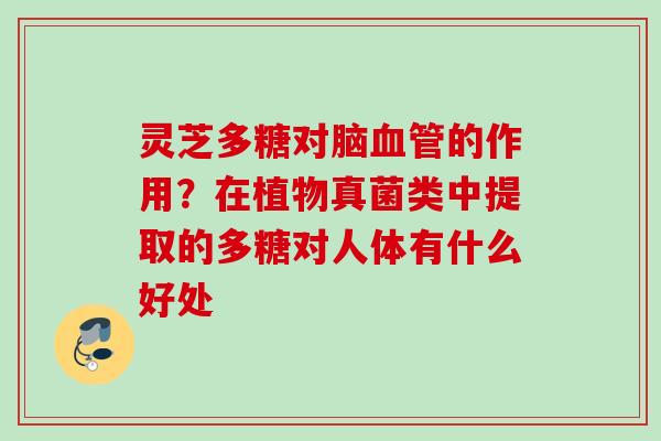灵芝多糖对脑血管的作用？在植物真菌类中提取的多糖对人体有什么好处