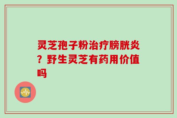 灵芝孢子粉治疗膀胱炎？野生灵芝有药用价值吗