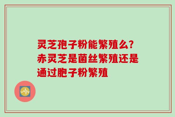 灵芝孢子粉能繁殖么？赤灵芝是菌丝繁殖还是通过胞子粉繁殖
