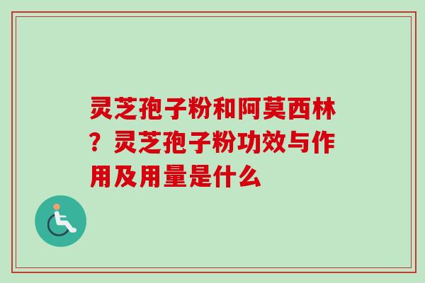 灵芝孢子粉和阿莫西林？灵芝孢子粉功效与作用及用量是什么