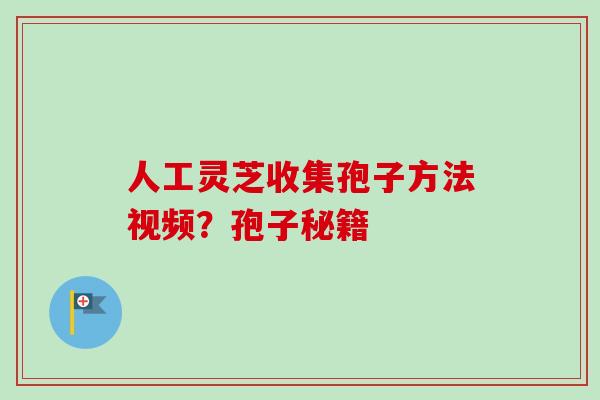 人工灵芝收集孢子方法视频？孢子秘籍