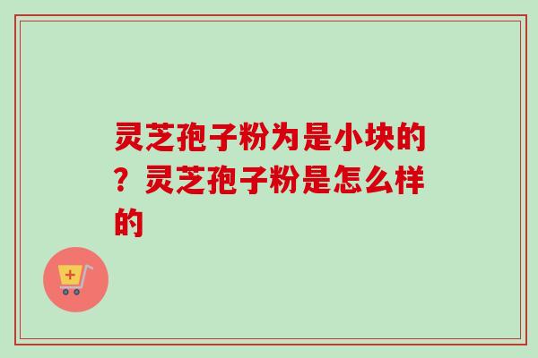 灵芝孢子粉为是小块的？灵芝孢子粉是怎么样的