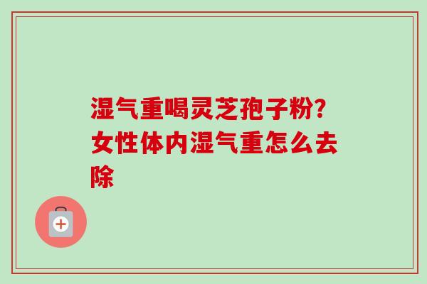 湿气重喝灵芝孢子粉？女性体内湿气重怎么去除
