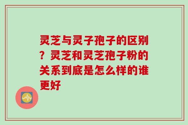 灵芝与灵子孢子的区别？灵芝和灵芝孢子粉的关系到底是怎么样的谁更好