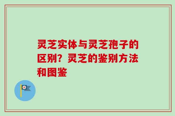 灵芝实体与灵芝孢子的区别？灵芝的鉴别方法和图鉴