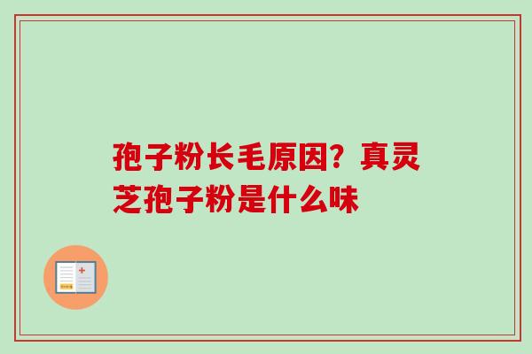 孢子粉长毛原因？真灵芝孢子粉是什么味