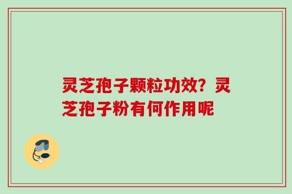 灵芝孢子颗粒功效？灵芝孢子粉有何作用呢