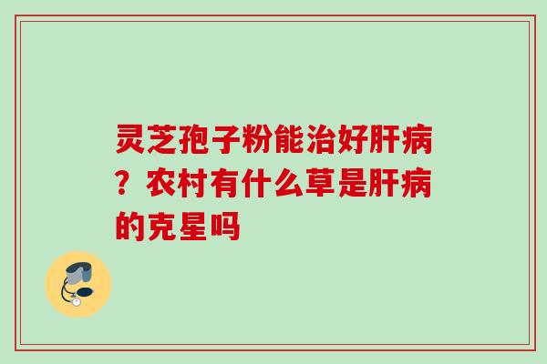 灵芝孢子粉能治好肝病？农村有什么草是肝病的克星吗