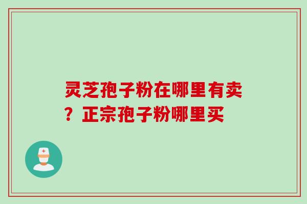 灵芝孢子粉在哪里有卖？正宗孢子粉哪里买