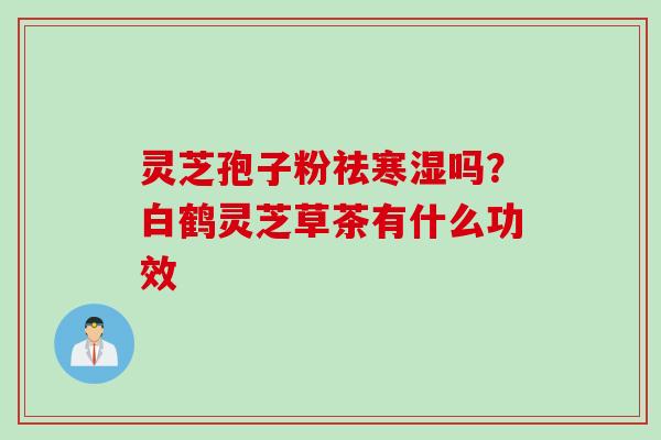 灵芝孢子粉祛寒湿吗？白鹤灵芝草茶有什么功效