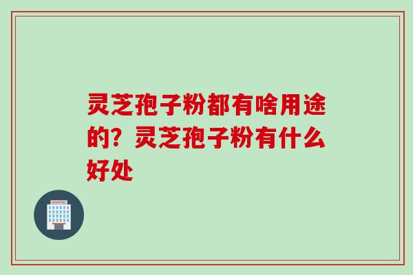 灵芝孢子粉都有啥用途的？灵芝孢子粉有什么好处