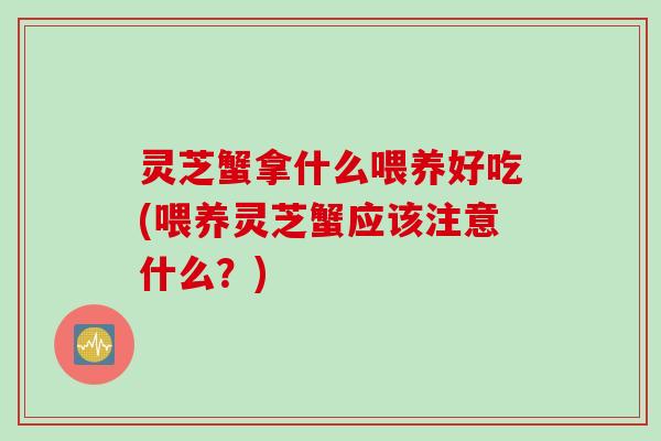 灵芝蟹拿什么喂养好吃(喂养灵芝蟹应该注意什么？)
