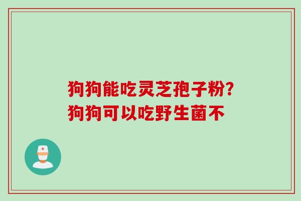 狗狗能吃灵芝孢子粉？狗狗可以吃野生菌不