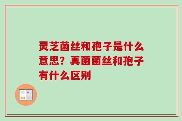 灵芝菌丝和孢子是什么意思？真菌菌丝和孢子有什么区别