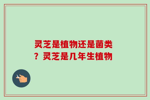 灵芝是植物还是菌类 ？灵芝是几年生植物
