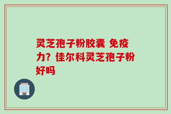 灵芝孢子粉胶囊 免疫力？佳尔科灵芝孢子粉好吗