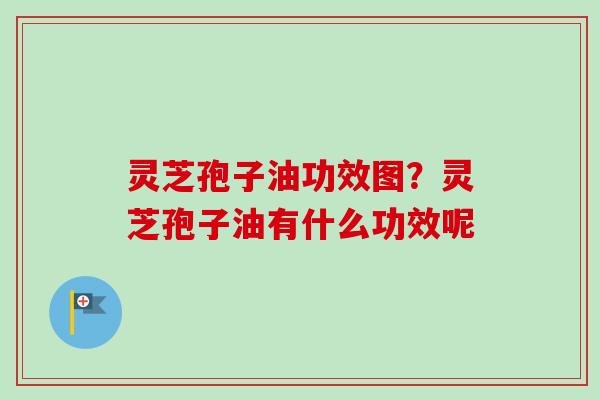 灵芝孢子油功效图？灵芝孢子油有什么功效呢