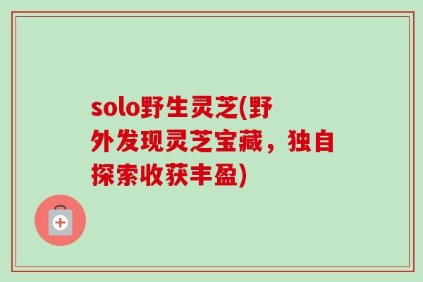 solo野生灵芝(野外发现灵芝宝藏，独自探索收获丰盈)