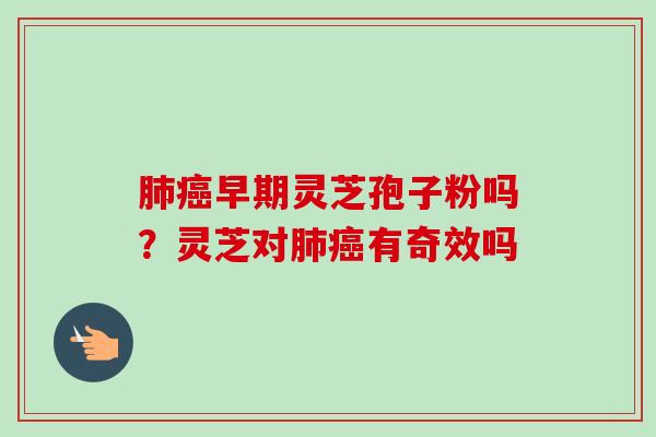 肺癌早期灵芝孢子粉吗？灵芝对肺癌有奇效吗