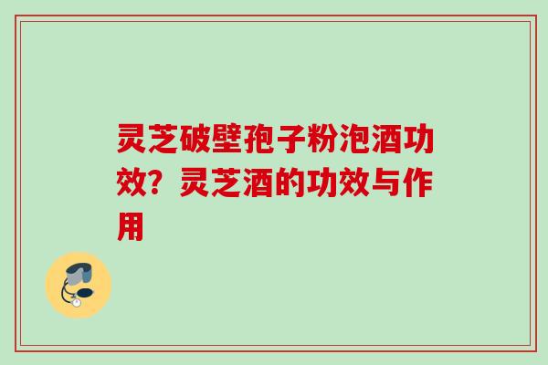 灵芝破壁孢子粉泡酒功效？灵芝酒的功效与作用