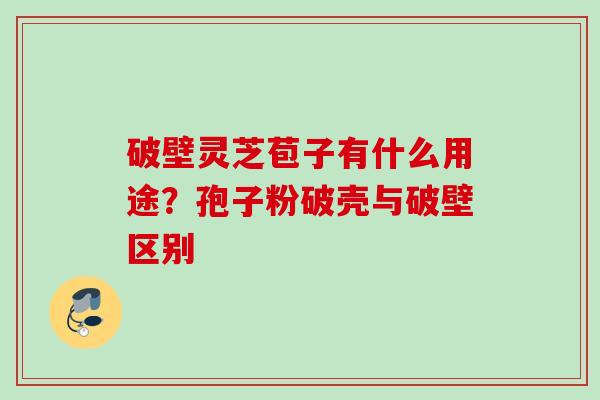 破壁灵芝苞子有什么用途？孢子粉破壳与破壁区别