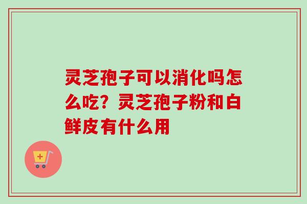 灵芝孢子可以消化吗怎么吃？灵芝孢子粉和白鲜皮有什么用
