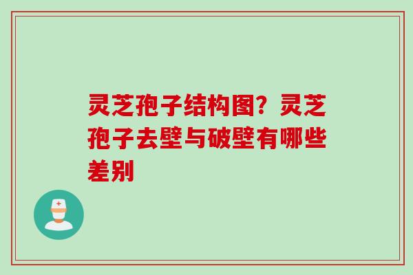 灵芝孢子结构图？灵芝孢子去壁与破壁有哪些差别