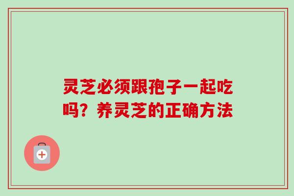 灵芝必须跟孢子一起吃吗？养灵芝的正确方法