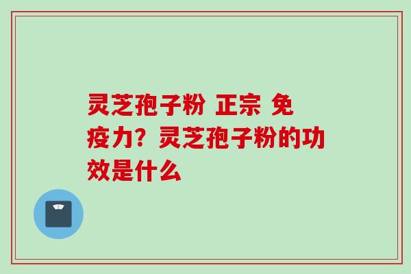 灵芝孢子粉 正宗 免疫力？灵芝孢子粉的功效是什么