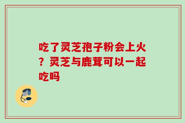 吃了灵芝孢子粉会上火？灵芝与鹿茸可以一起吃吗
