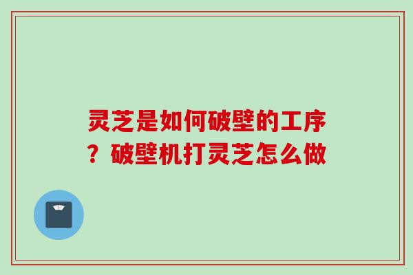 灵芝是如何破壁的工序？破壁机打灵芝怎么做