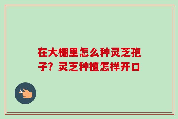 在大棚里怎么种灵芝孢子?灵芝种植怎样开口