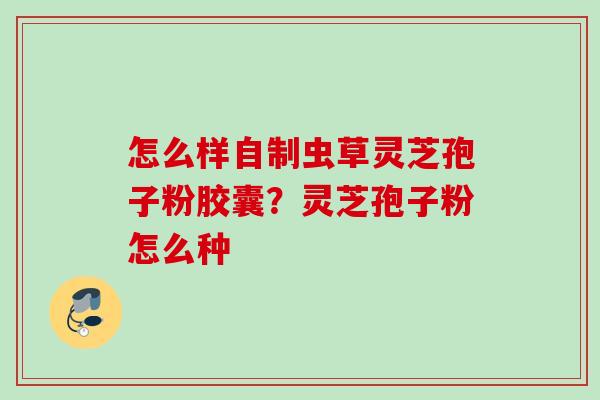 怎么样自制虫草灵芝孢子粉胶囊？灵芝孢子粉怎么种
