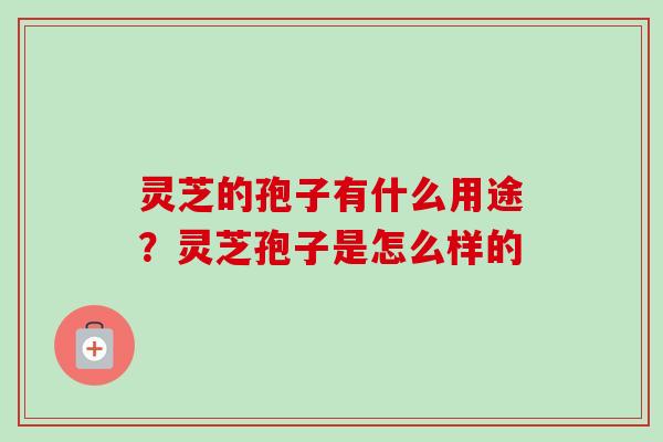 灵芝的孢子有什么用途？灵芝孢子是怎么样的