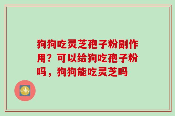 狗狗吃灵芝孢子粉副作用？可以给狗吃孢子粉吗，狗狗能吃灵芝吗