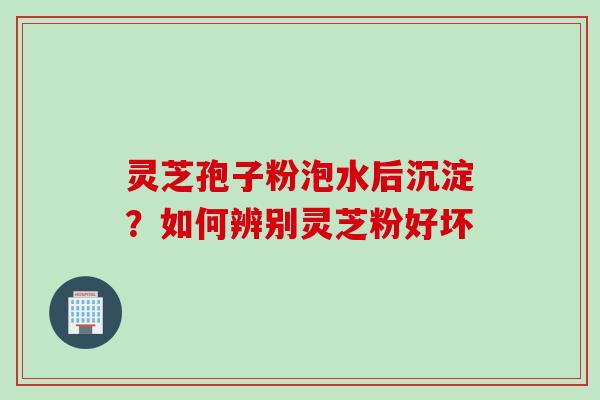 灵芝孢子粉泡水后沉淀？如何辨别灵芝粉好坏