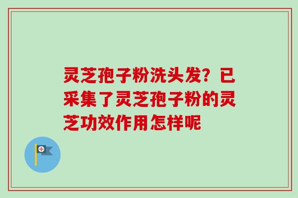 灵芝孢子粉洗头发？已采集了灵芝孢子粉的灵芝功效作用怎样呢