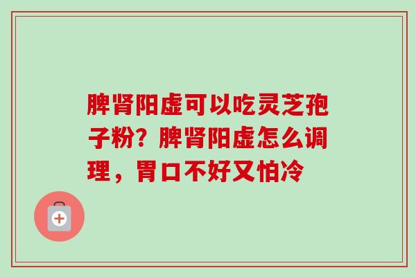 脾肾阳虚可以吃灵芝孢子粉？脾肾阳虚怎么调理，胃口不好又怕冷