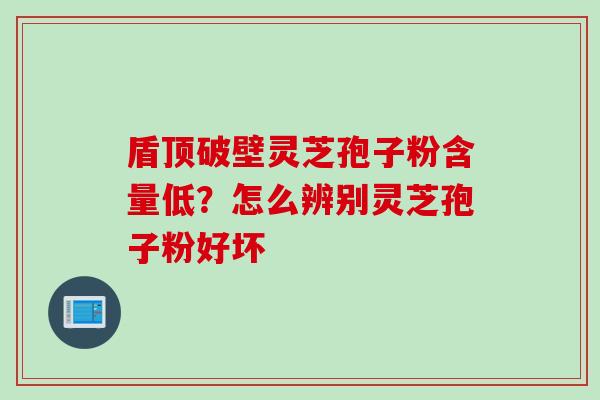盾顶破壁灵芝孢子粉含量低？怎么辨别灵芝孢子粉好坏